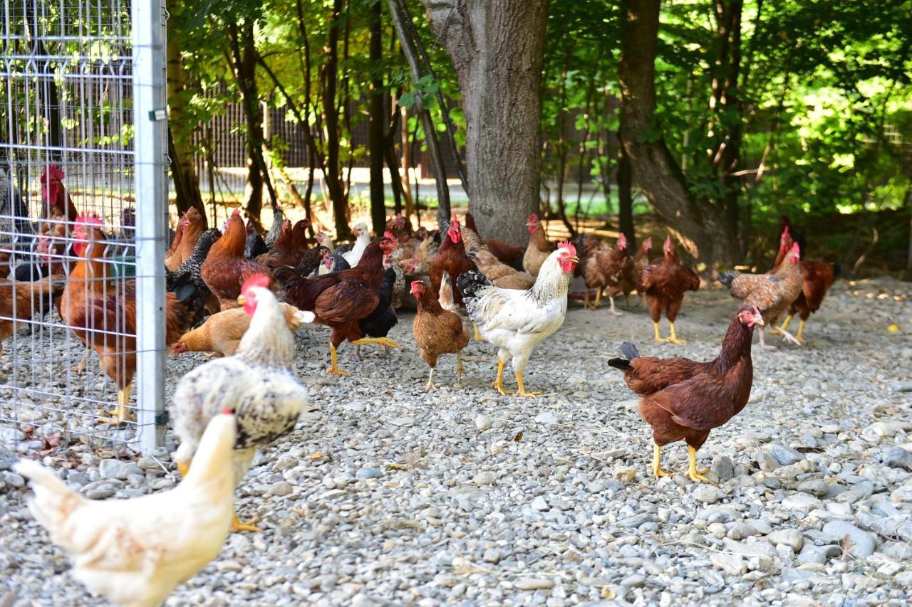 纳图拉家庭度假村 阿夫里格 外观 照片